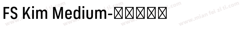 FS Kim Medium字体转换